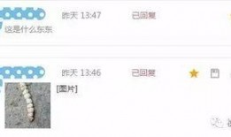 石家庄水果最新爆料微博,品种丰富，价格亲民，快来尝鲜！